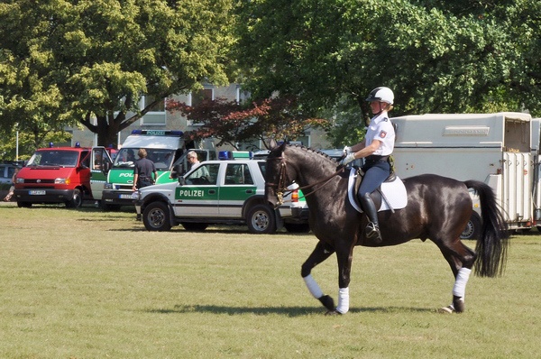 Polizeidirektion   161.jpg